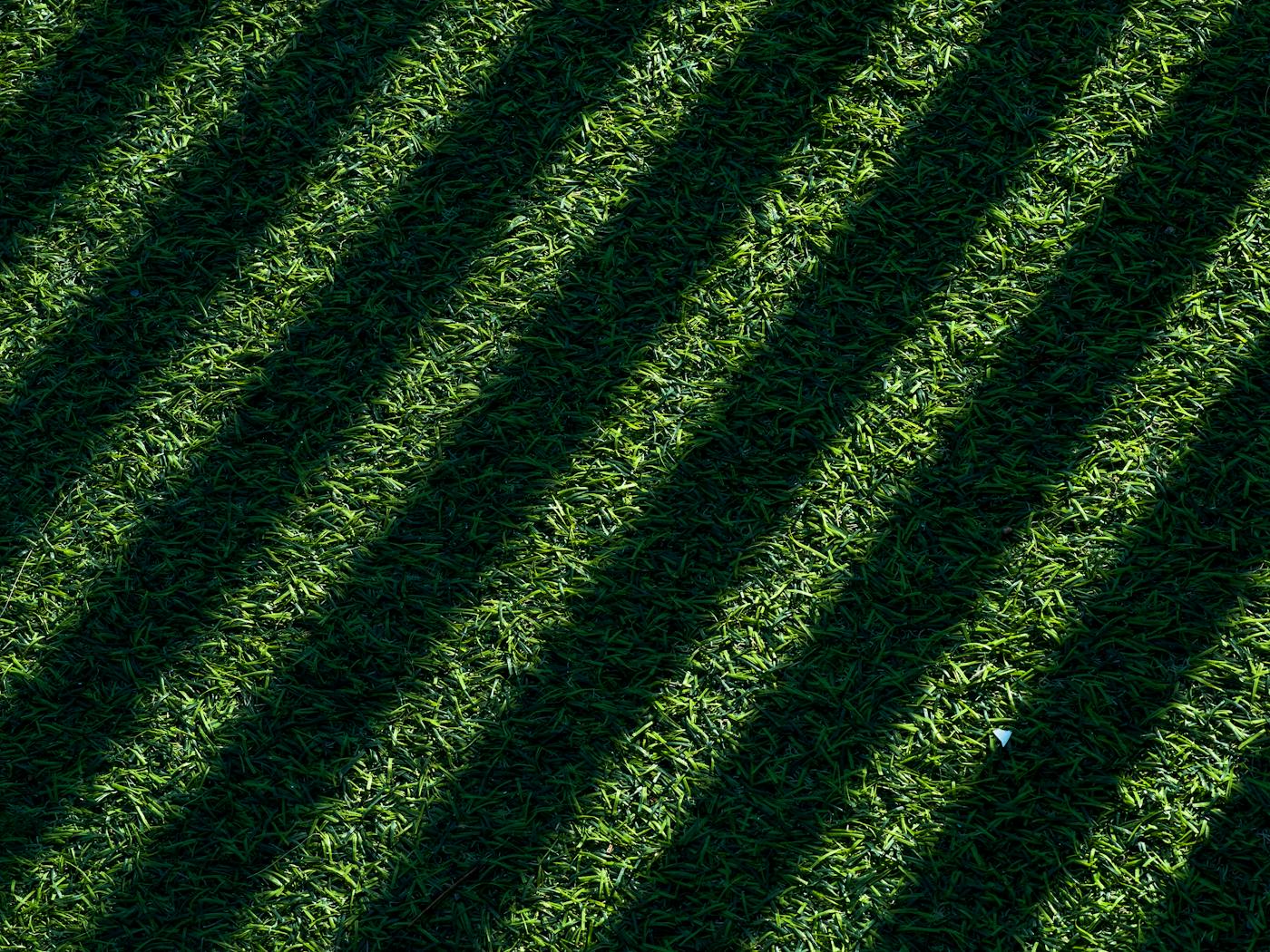 Diagonal mower-stripe pattern across a green residential lawn.